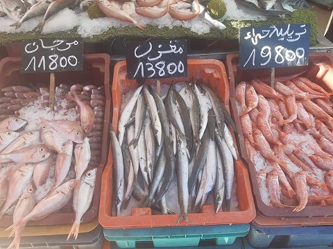 Tunisie: En images, prix du poisson au Marché de Siliana
