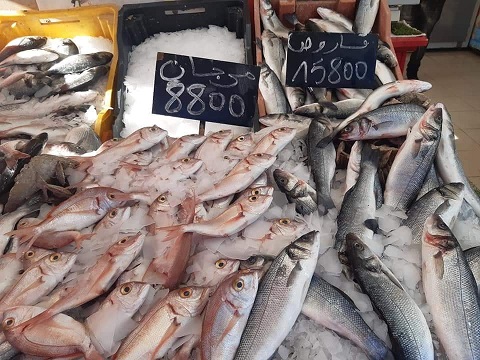 Tunisie: En images, prix du poisson au Marché de Siliana