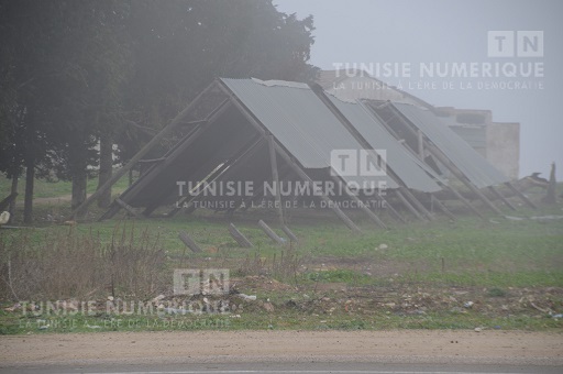 Tunisie: En images, un épais brouillard couvre l’atmosphère à Béja