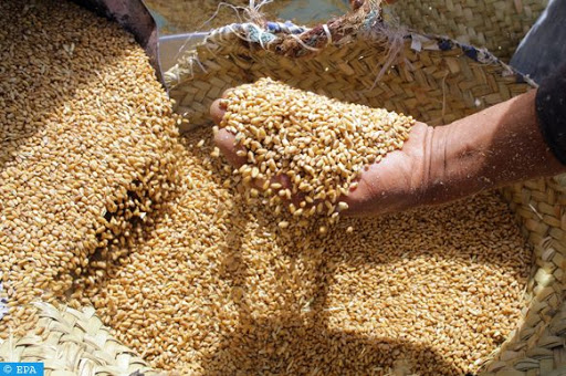 Tunisie: L’affaire du blé périmé révèle d’autres affaires de corruption