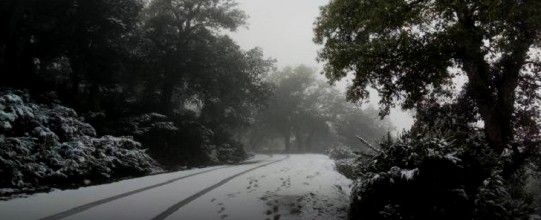 Tunisie – Alerte météo : Probables chutes de neige