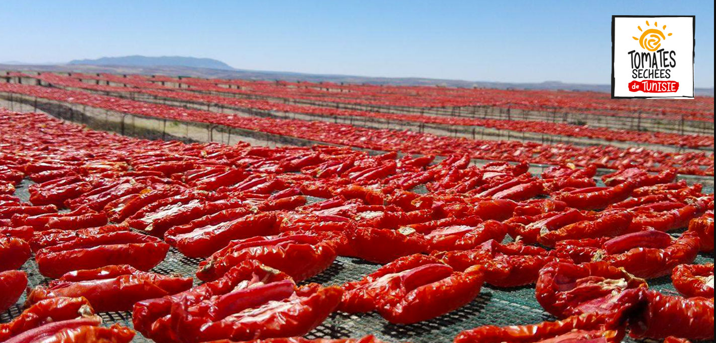 La tomate séchée: un puissant antioxydant aux vertus préventives !