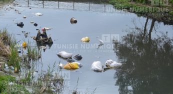 Tunisie: Gammoudi défie les responsables qui l’ont accusé de mentir de boire l’eau du barrage de Didi Salem