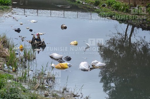 Tunisie: Gammoudi défie les responsables qui l’ont accusé de mentir de boire l’eau du barrage de Didi Salem