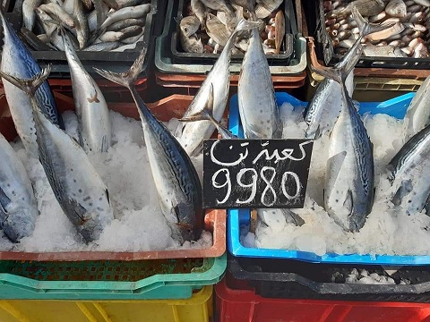 Tunisie: En images, prix du poisson au Marché de Siliana