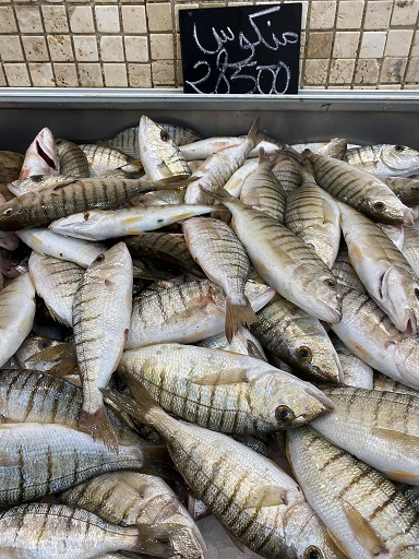 Tunisie: En images, prix du poisson à Sfax