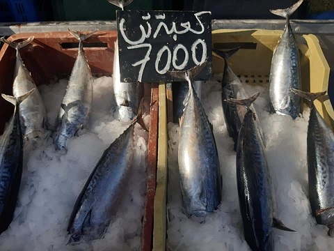 Tunisie: En images prix du poisson au Marché de Siliana