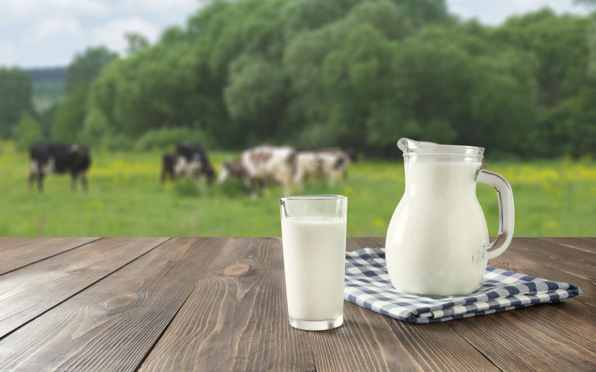 L’UTAP veut une augmentation du prix du lait d’au moins 800 millimes!