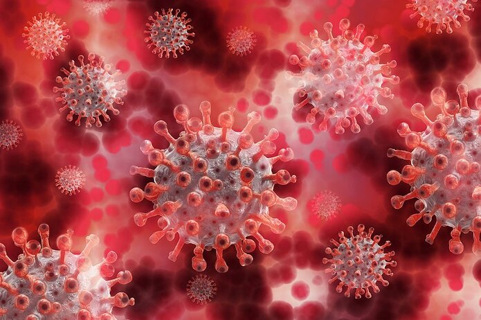 Tunisie-Sidi Bouzid : 4 contaminations par le variant britannique du Coronavirus