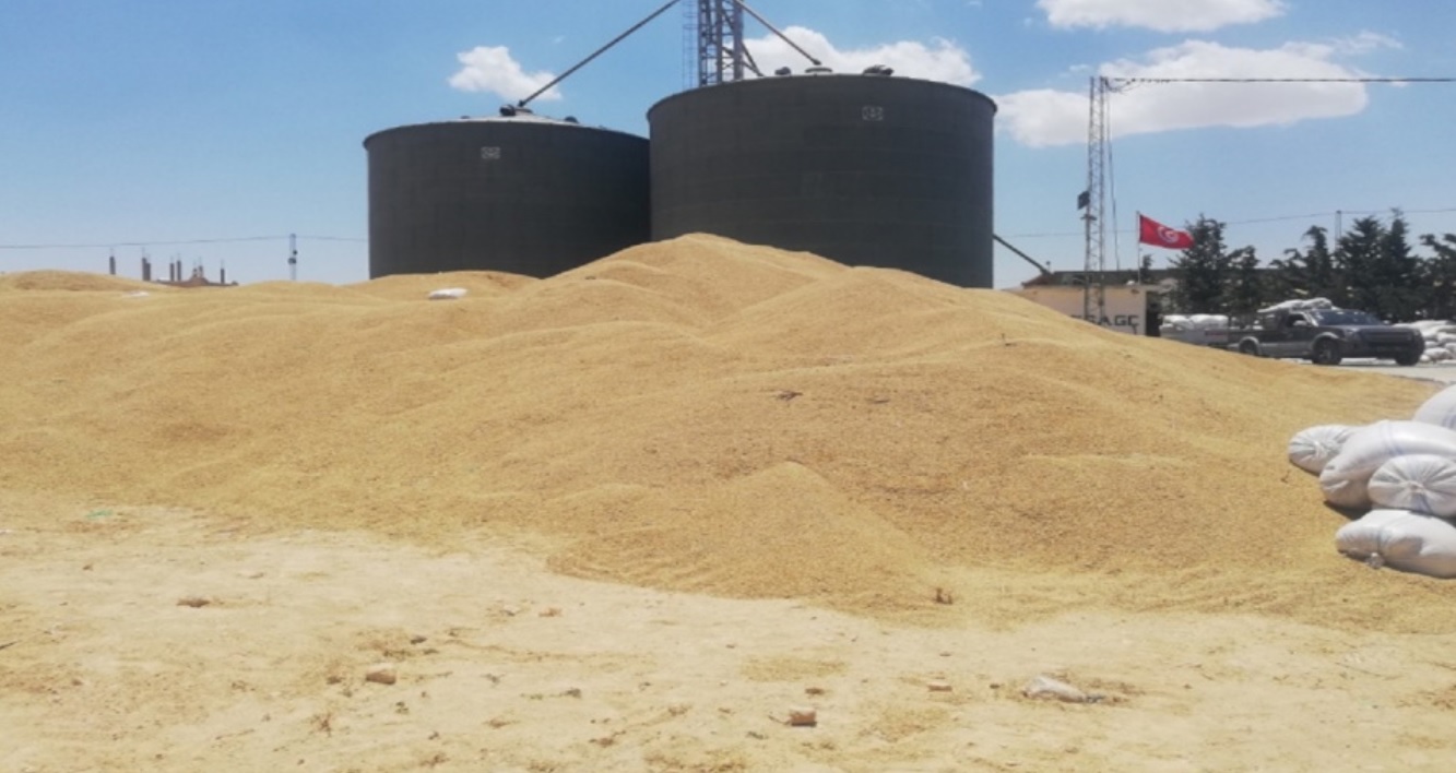 Rapport : La dépendance aux importations du blé tendre atteint 84%