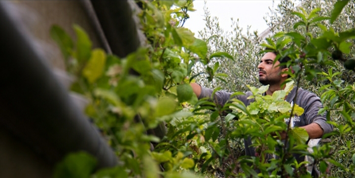 384.6 millions de dinars d’investissements agricoles déclarés, à fin mars 2021