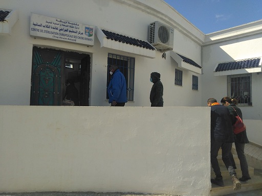 Tunisie [Photos]: Visite d’une équipe sanitaire de la municipalité de Kébili au centre de stérilisation des chiens à l’Ariana