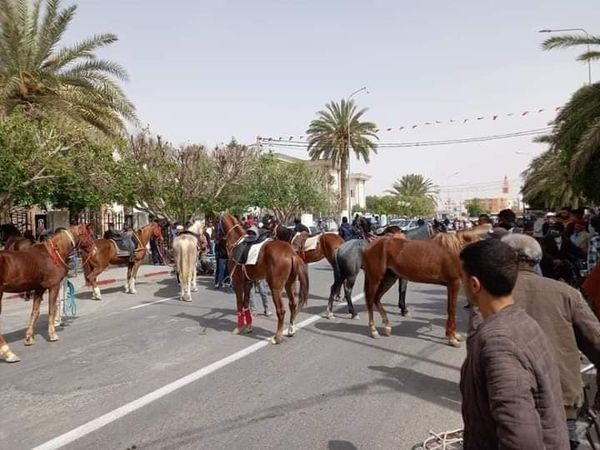 Gabès-El Hamma [PHOTOS] : Les propriétaires des chevaux organisent un stand de protestation