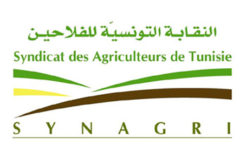 Tunisie-Ramadan: Le Syndicat des agriculteurs revendique l’installation des marchés permanents du producteur au consommateur