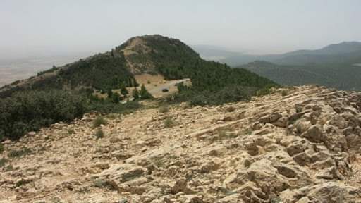 Tunisie : Mechichi rend hommage aux héros des deux opérations de sécurité à Jebel Salloum et Meghila