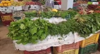Tunisie [Vidéo]: Ambiance et prix au Marché central de Gafsa
