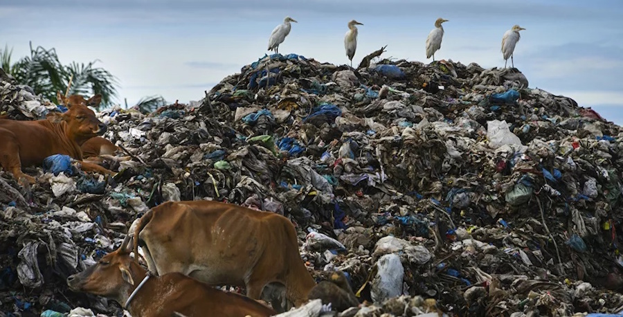 Ministère de l’Environnement : La bataille des déchets italiens a été gagnée