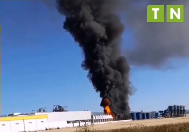 Tunisie-Incendie dans une usine de tomates à Béja: Au moins 300 mille dinars de dégâts [Photos]