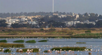 Tunisie-Sijoumi: La lutte contre les moustiques commence aujourd’hui