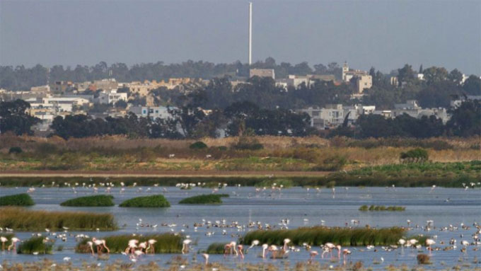 Tunisie-Sijoumi: La lutte contre les moustiques commence aujourd’hui