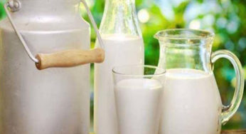 Tunisie- Accumulation des stocks de lait