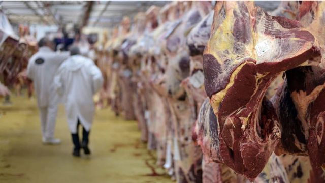 Tunisie-Nabeul: Saisie de 800 kg de viande rouge impropres à la consommation