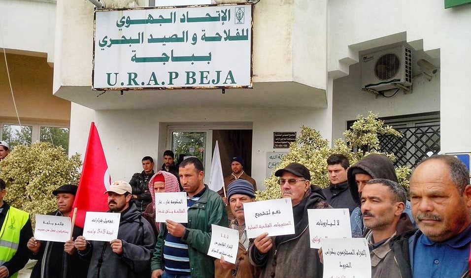 Tunisie- Augmentation des prix des fourrages: L’Union régionale de l’agriculture appelle les agriculteurs à protester