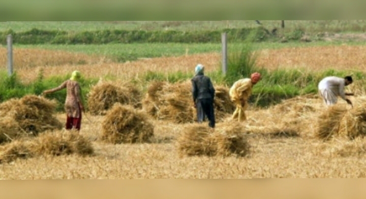 L’investissement agricole créent à peine 1390 emplois en 2021 …