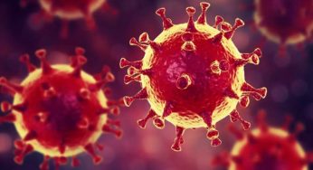 Kairouan-Coronavirus : Mise à jour du bilan épidémiologique