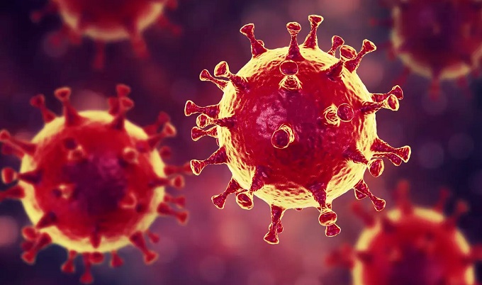 Jendouba-Coronavirus : Bilan épidémiologique