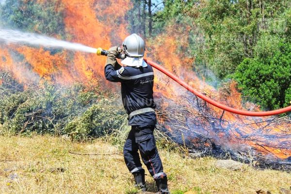 Tunisie- Kef: Plus de 50 hectares de céréales décimées à cause d’un incendie