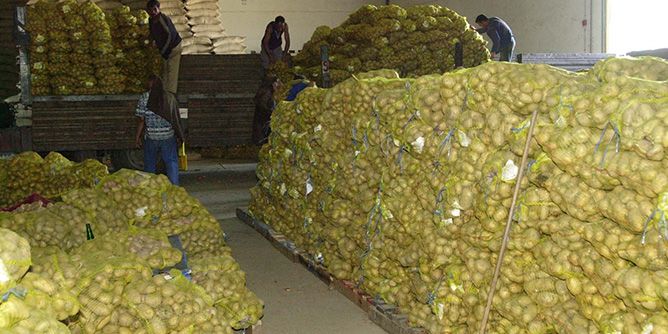 Le gang des fruits et légumes ruine les consommateurs, en toute impunité