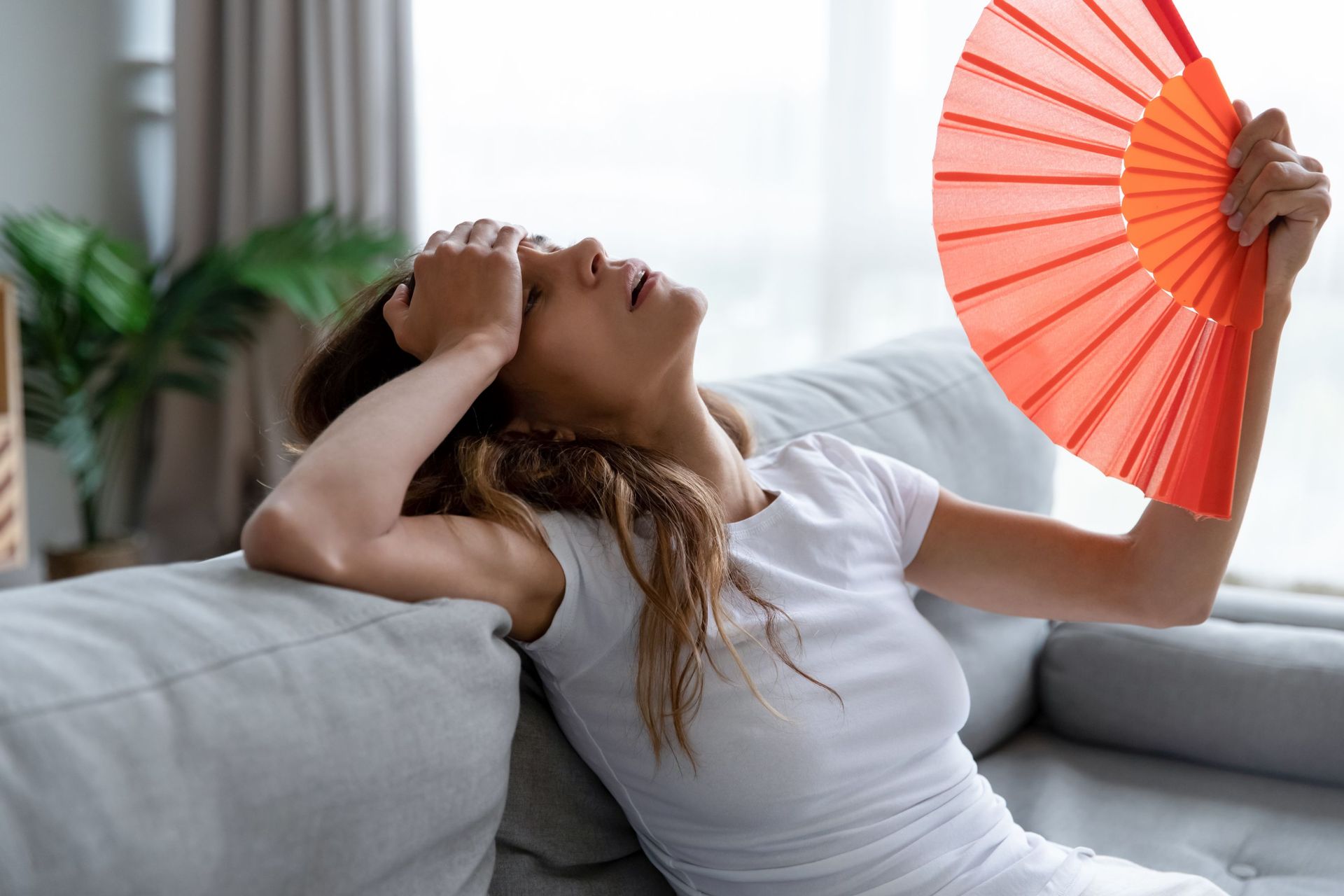 Février 2025: Un mois plus chaud et plus pluvieux que la normale