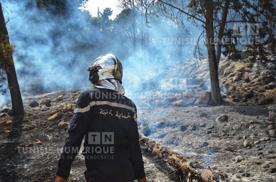 Tunisie-Béja: Un incendie s’est déclaré au Mont Koucha [Photos]