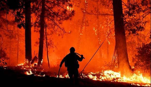 Tunisie: Le nombre d’incendies dépasse 150 pendant les dernières 36 heures