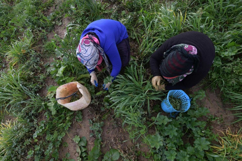 Inédit : Aggravation du déficit commercial alimentaire d’environ 4 fois !