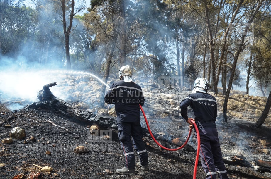 Tunisie-Protection civile: Plus de 60 incendies éteints hier