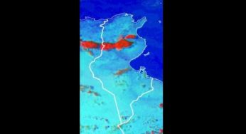 Tunisie – Pluies abondantes sur le centre du pays