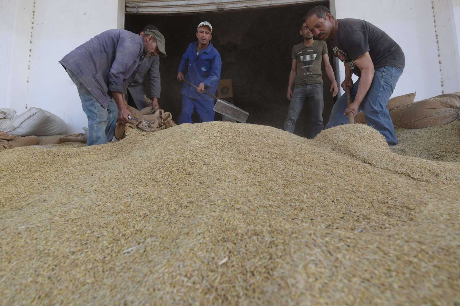 La hausse vertigineuse des importations des céréales, augmente le déficit alimentaire de 172%