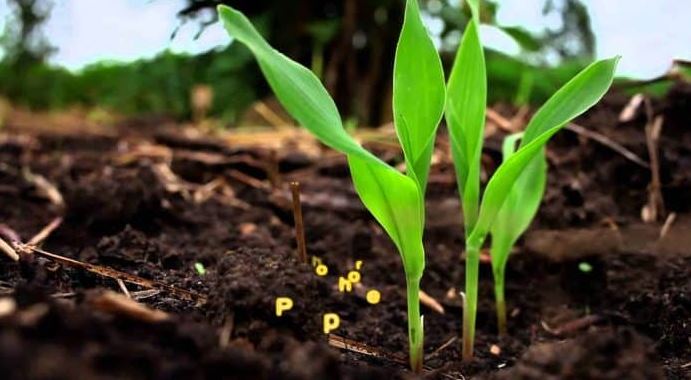 La Tunisie accueillera le prochain congrès mondial de l’agriculture biologique