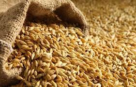 La Tunisie dispose d’un stock de céréales pour seulement 3 mois de consommation
