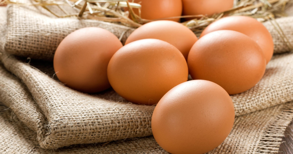 UTAP: Les 4 œufs seront vendu à 3 dinars