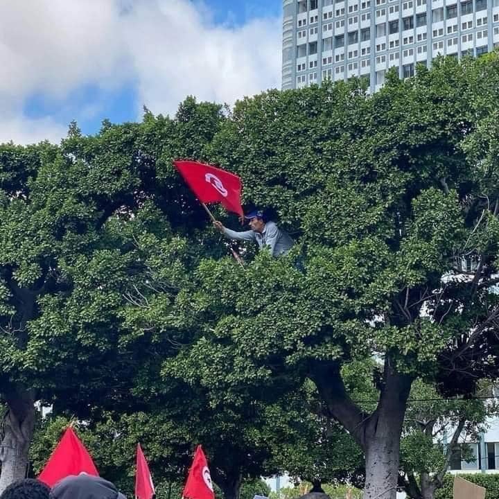 La manifestation a été nassée par les forces sécuritaires d’après les protestataires [Vidéo]