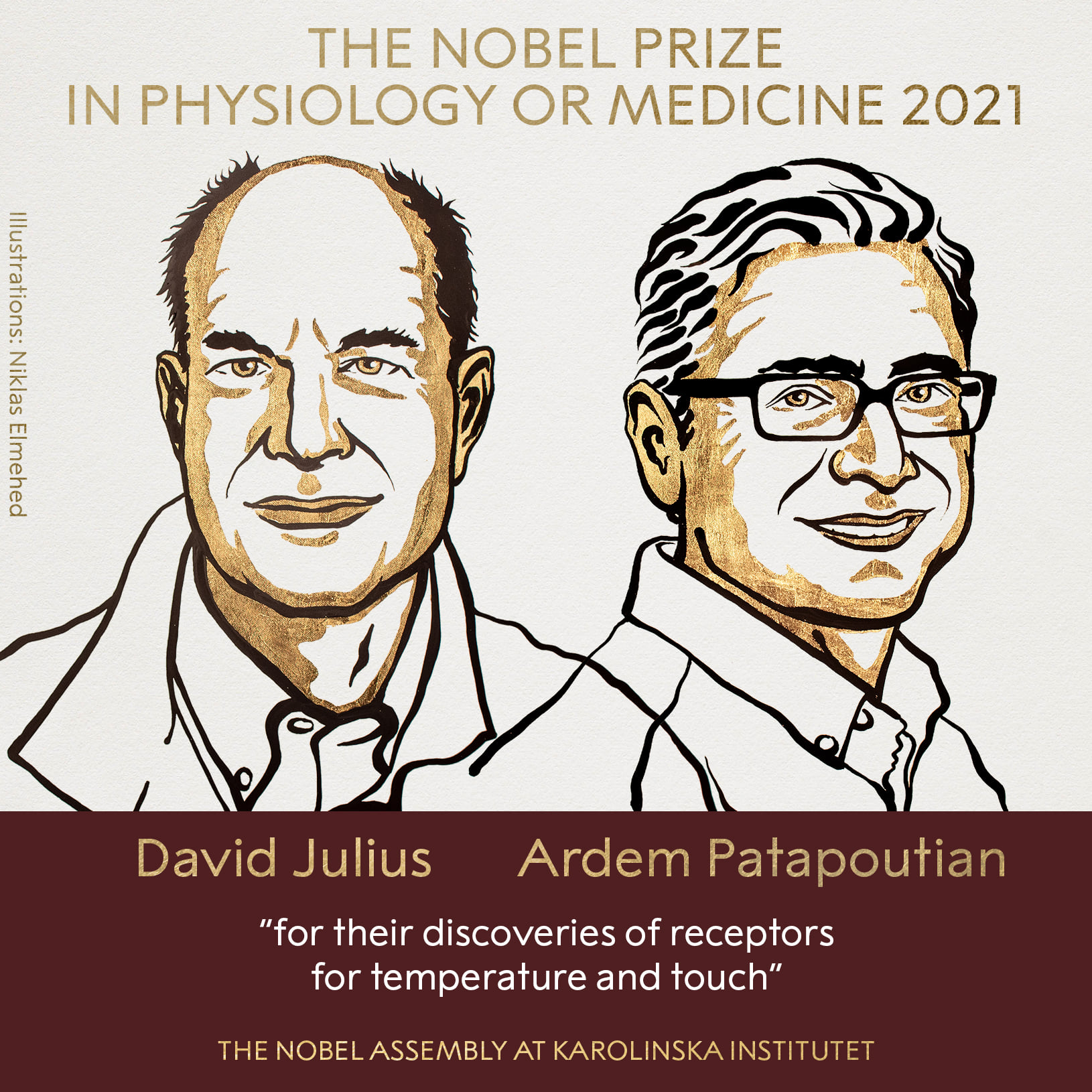 Le prix Nobel de physiologie ou médecine 2021