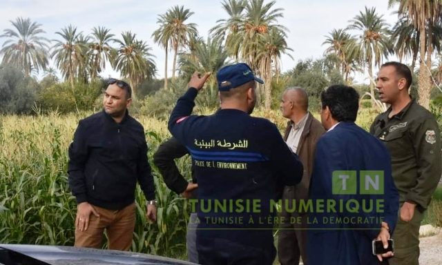 Tunisie – Gafsa : Arrestation d’agriculteurs irriguant leur cultures aux eaux usées