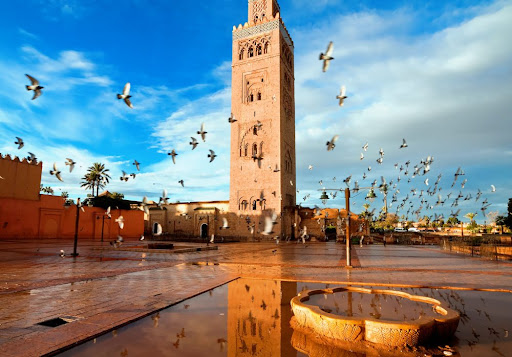 Tunisair: Avis aux passagers à destination du Maroc