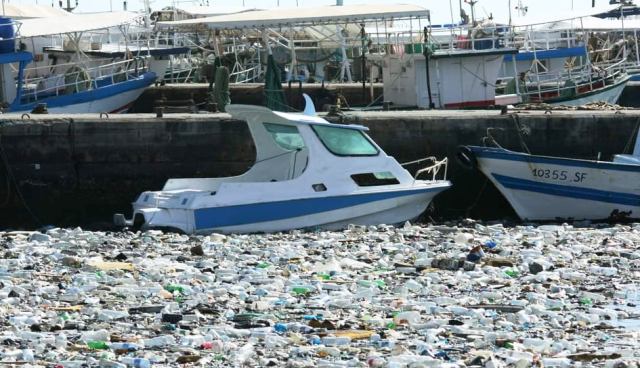 Tunisie – Entre risque de choléra et poisson pourri, les sfaxiens ne savent plus quoi faire !