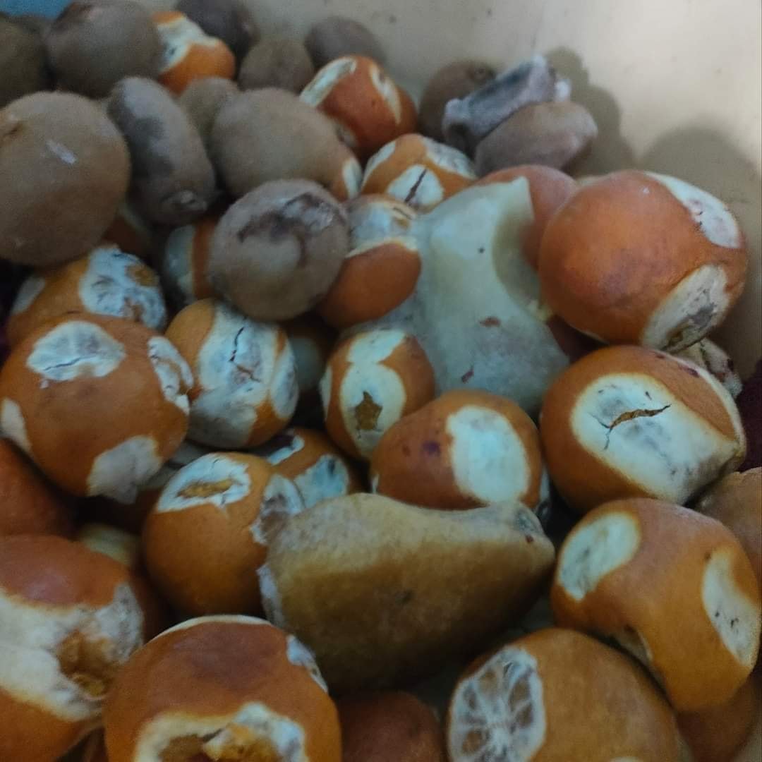 Sfax: Saisie de 4 tonnes de fruits impropres à la consommation [Photos]