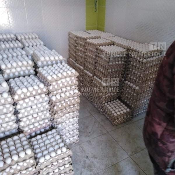 Béja: Saisie de 45 mille œufs dans un entrepôt clandestin [Photos]