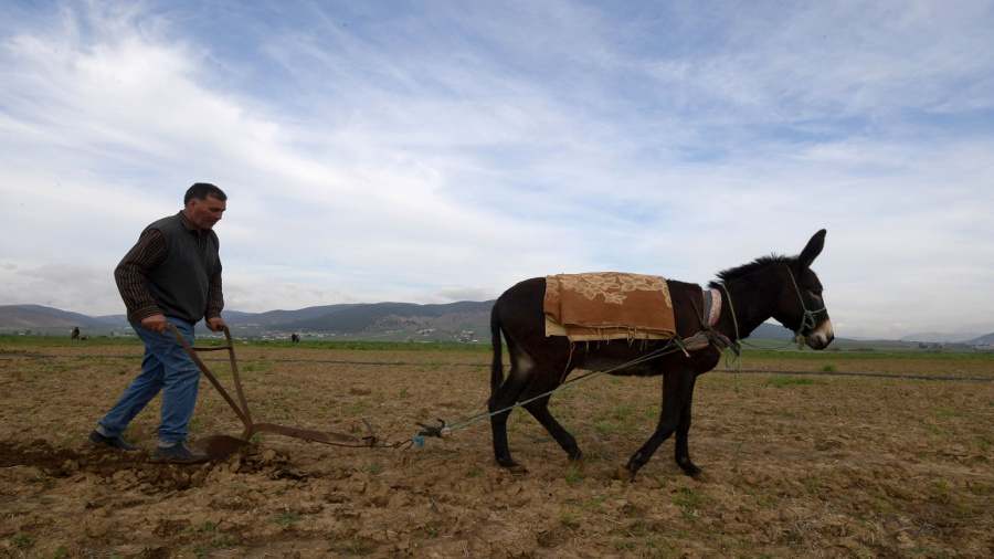 Baisse drastique des investissements agricoles par rapport au plan de développement 2016-2020